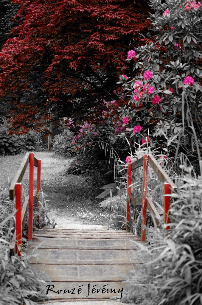 Fabuleux jardin de d'arrière cour.