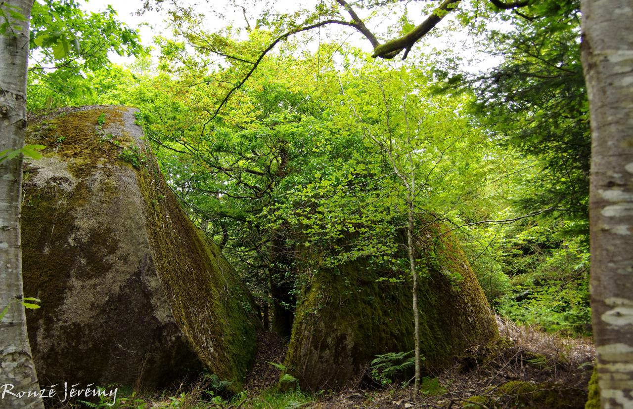 Un passage pour la nature