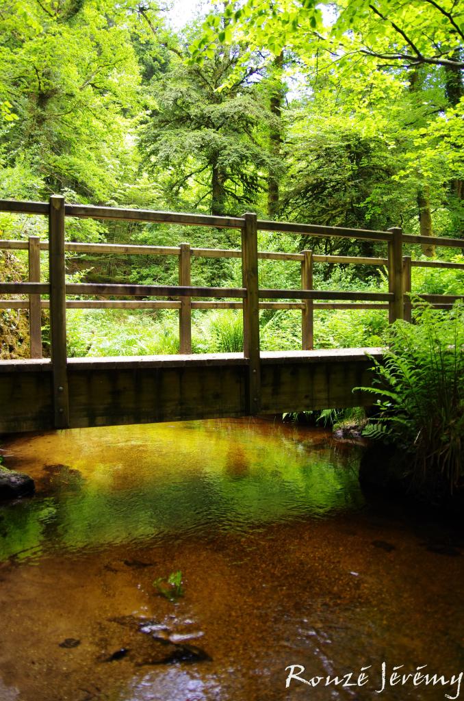 Petit pont de bois