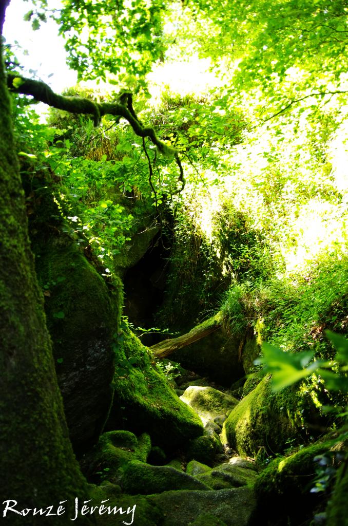 Green power