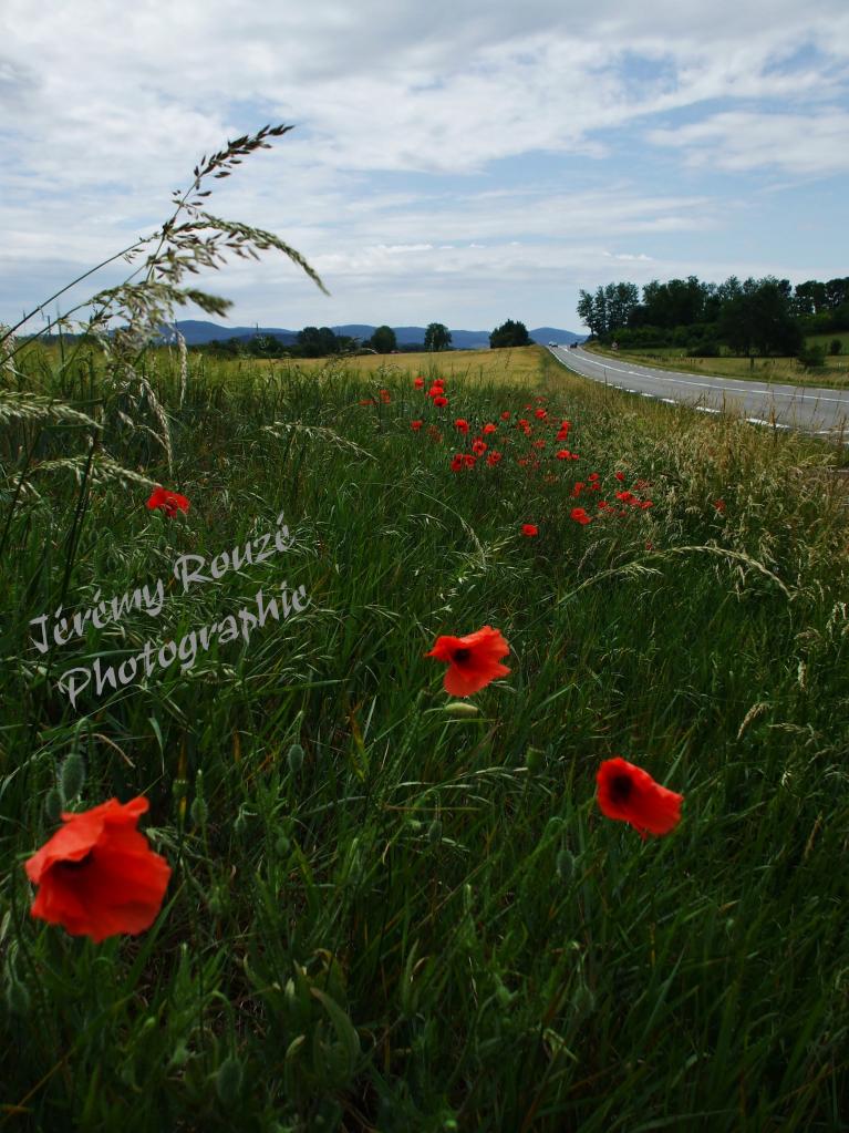 Une longue route vers l'avenir et le fait de devenir